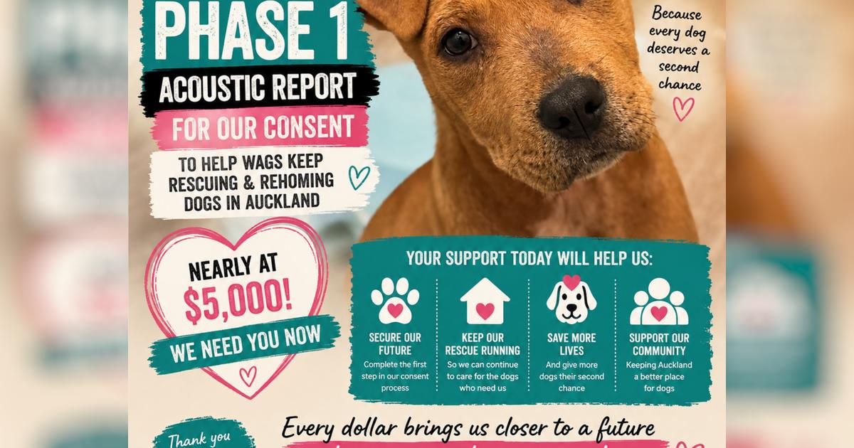 Help WAGS Rescue NZ Secure Our Sanctuary - Givealittle