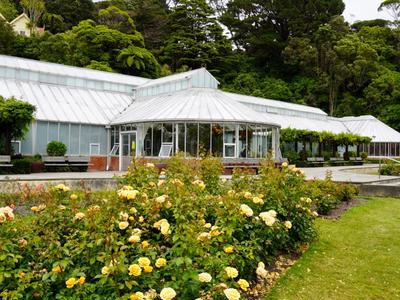 Save the Begonia House - join the 800