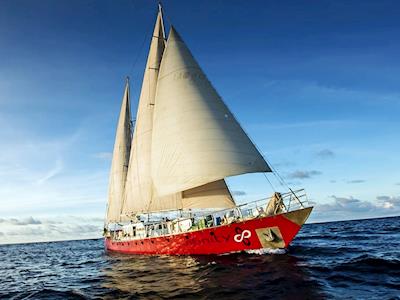 Help the Floating Foundation with their research on plastic pollution in the South Pacific