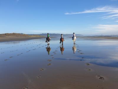 NZ Riding for the Disabled (NZRDA)