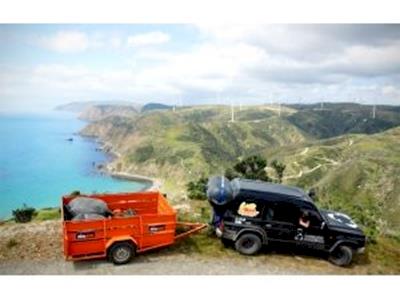 Bring Back Black Beauty