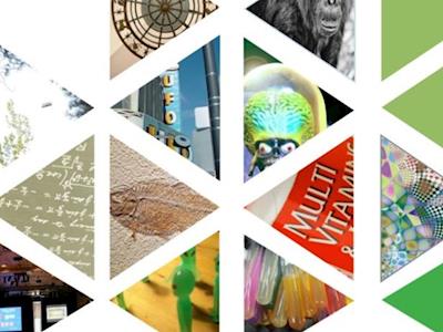 NEW ZEALAND SKEPTICS