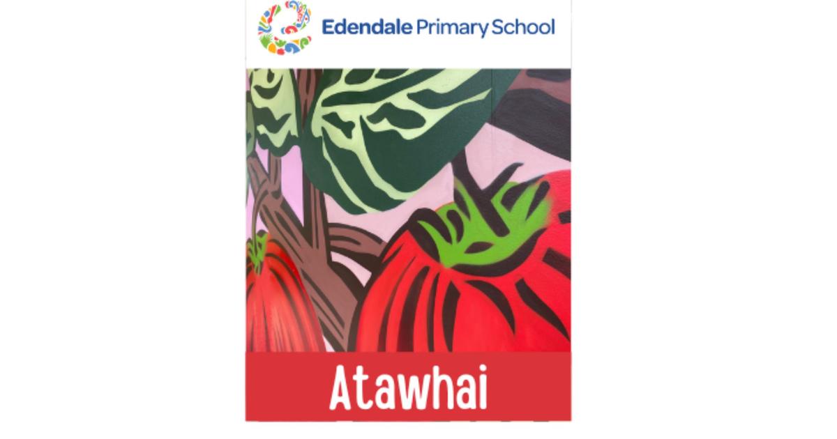 Edendale Colour Run 2025 – Atawhai Years 1&2 (Rooms 6, 7, 8, 9 & 10 ...