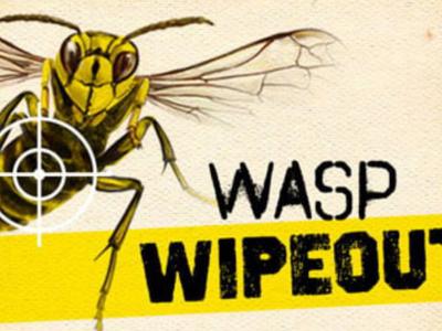 Wasp Wipeout Summer 2025/2026 Join the Fight Against New Zealand’s Most Unwanted Villain — the Wasp