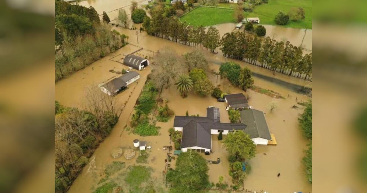 Kumeu Flood Help The Wisharts! Givealittle