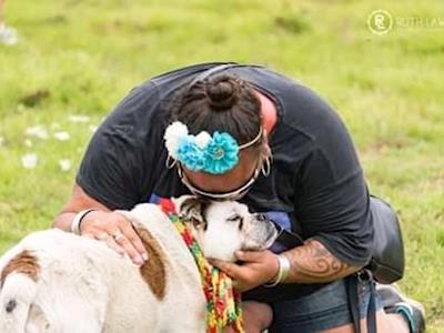 Summer Needs A New Phone