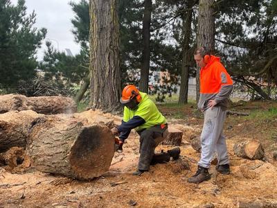 New Chainsaw for Firewood Fundraiser