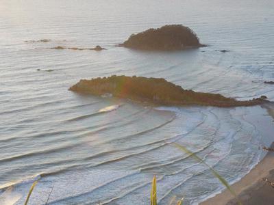 Athletes of Tauranga Branch