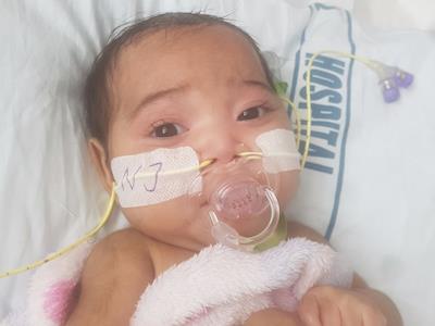 Christmas Appeal for Aurora