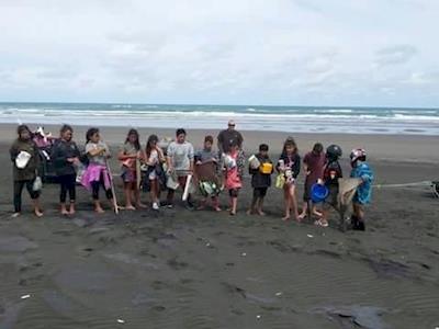 Please Help us Care For Our Stunning Kawhia Ocean Beach.