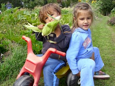 We need tools for 120 children in our Community Garden this summer
