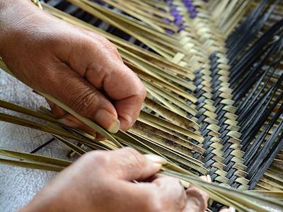 Breast Cancer Support Hibiscus Coast