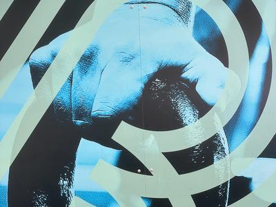 BFT Kensington's Club Week for Sport Otago - Sporting Chance