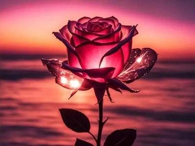 Please help my beautiful mum through terminal cancer