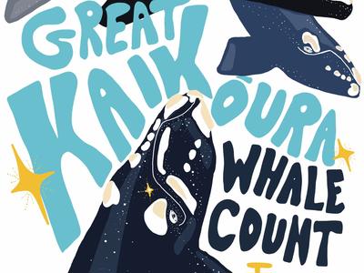 Great Kaikōura Whale Count - 2024
