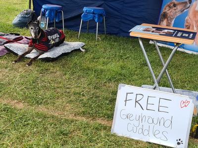Lucy's Annual Appeal Week page for Greyhounds as Pets NZ