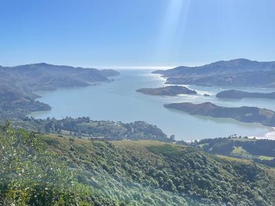 Andrew McGill... help me help the kids