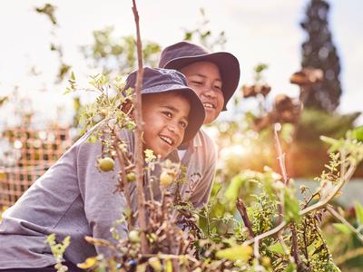 Garden to Table Trust