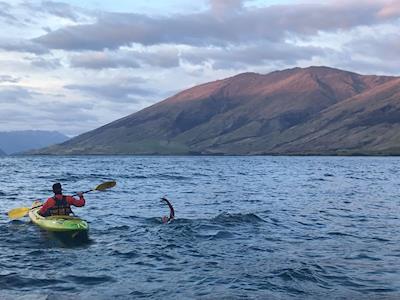Swim Lake Wanaka for Darryl Fairbairn Memorial Fund