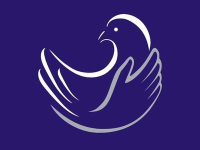 Ring of Fire 100km Ultra Marathon