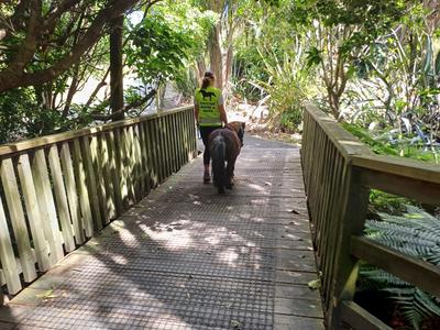 Lulu and Sammi October Challenge