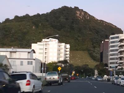 Mt Everest challenge