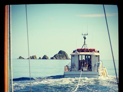 Tortuga Donation Campaign