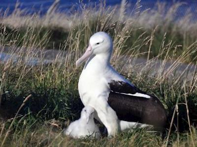 Otago Peninsula Trust
