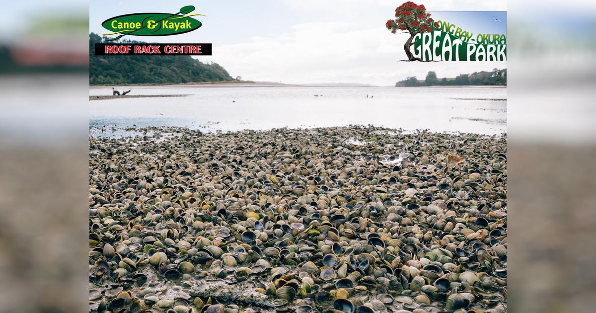 Save our Shellfish - Givealittle