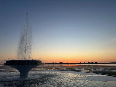 Team Tauranga: Craigs Investment Partners