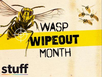 Wasp Wipeout 2019/2020