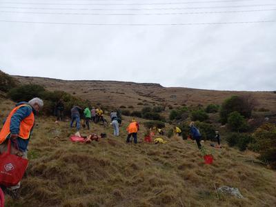 Avoca Valley Restoration Project - 2022