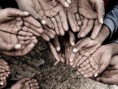 Help End Poverty In New Zealand