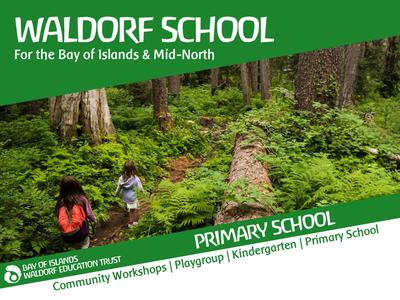 Let's start a Steiner Waldorf primary school!