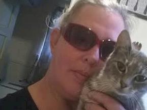 Give Nicky's stray cat colony a Christmas Miracle!