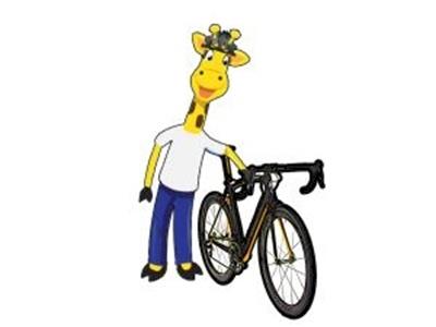  Harolds Heifers - Rochelle