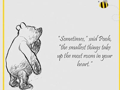 'Little Dove' fundraising for Sands HB