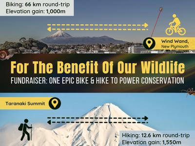 The Wild-Life - Paihikara & Hikoi (Bike & Hike) the Maunga.