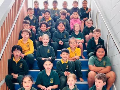 Kereru Tawa - Mrs Vallabh