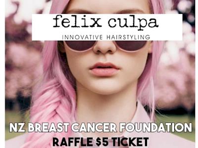 Felix Culpa Fundraiser for Haircare for a Cure