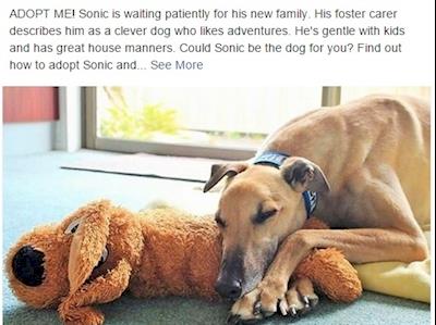 GAP Facebook Sponsors