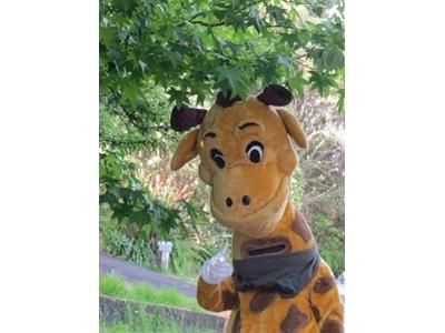  Gazs Gals Riding for Harold