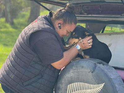 The BOI animals rescue needs your HELP... More food for the 4 legged rescued beings...