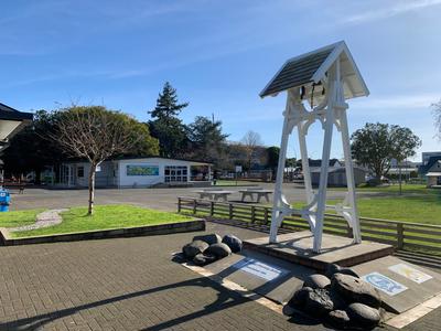Tauranga Primary School Staff