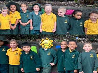 Kiwi Paki - Mrs Erceg