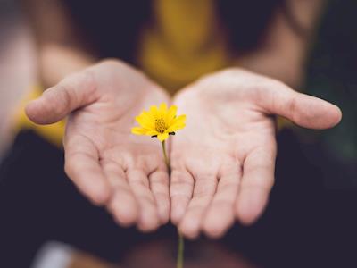 The Retreat Recovery Scholarship Fund