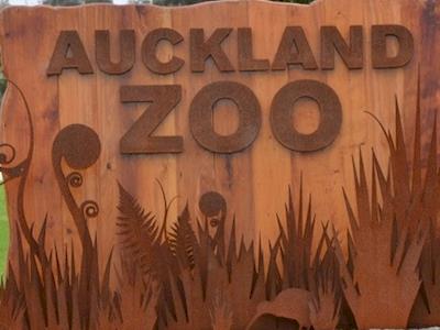 Help the animals at Auckland zoo