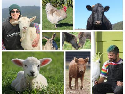 Black Sheep Animal Sanctuary