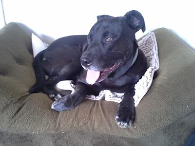 Shadows surgery and rehabilitation