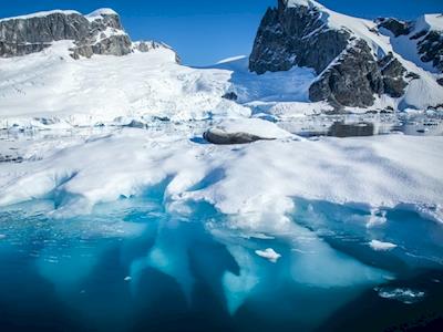 Polar Plunge for Philzy